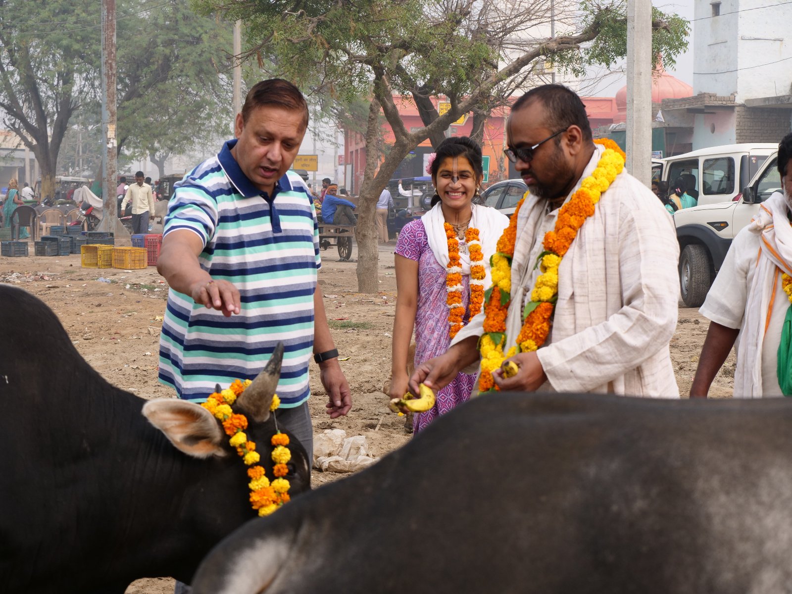  155 Gopashtami Radha kunda Govardhan 19.11.04